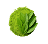 Matcha leaf
