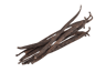 Vanilla Bean